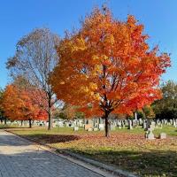 Congressional Cemetery image 23